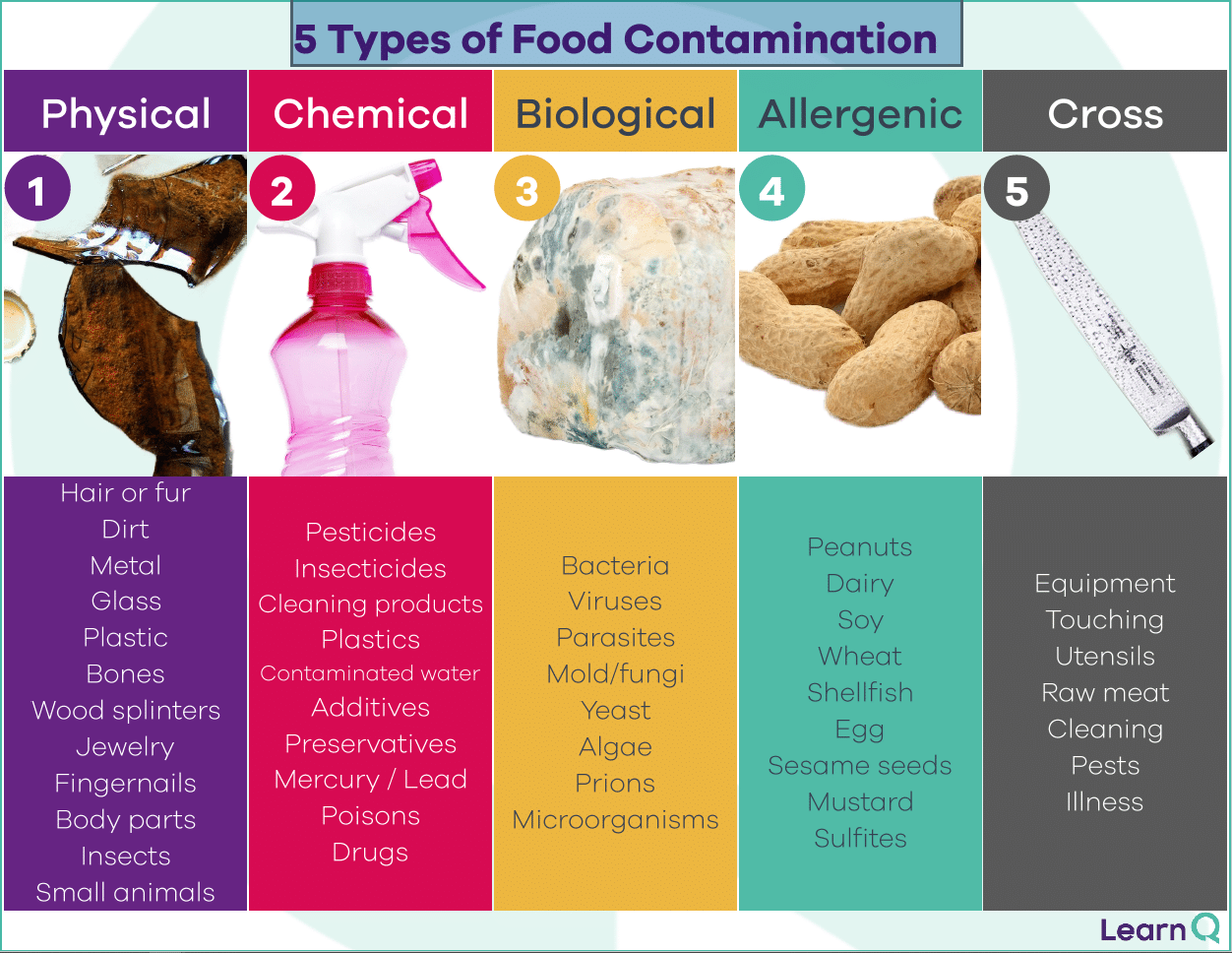 image of FREE types of food contamination poster from Learn Q