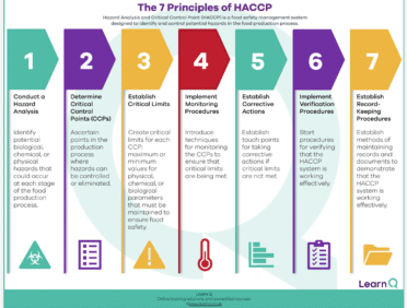 Image of Learn Q FREE 7 Principles of HACCP Poster