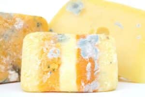 Image of mouldy cheese for Learn Q Food Safety How Food Spoils blog