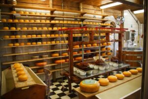 Image of cheese shop for Learn Q Ensuring Compliance and Safety in The Food Industry blog